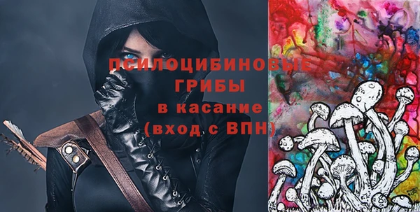 MDMA Каменногорск