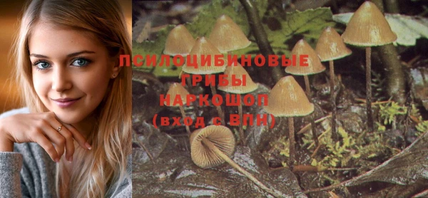 гидропоника Инсар