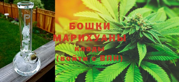 2c-b Инта
