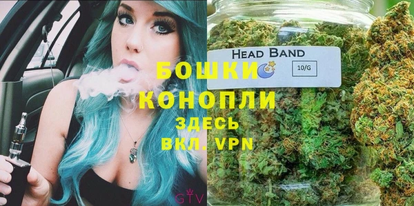 2c-b Инта