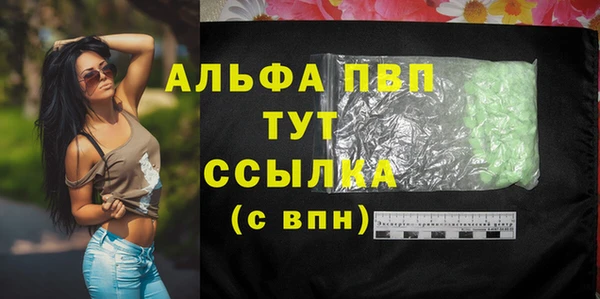 ECSTASY Каменка