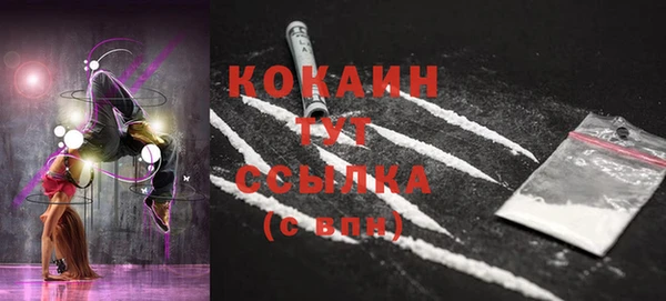 2c-b Инта