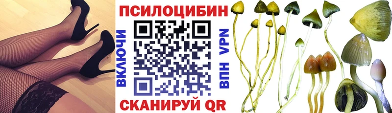 Галлюциногенные грибы GOLDEN TEACHER  Купить  Дрезна 